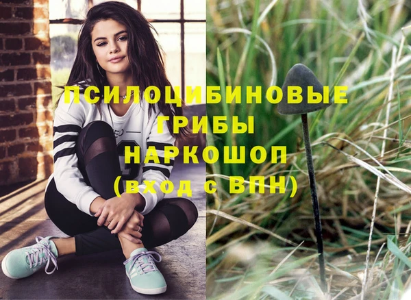 трава Аркадак