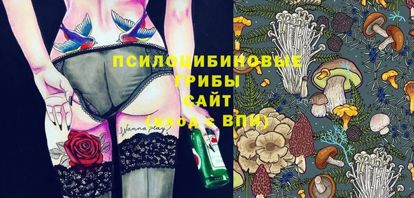 трава Аркадак