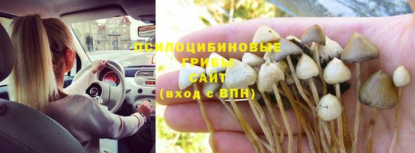 СК Армянск
